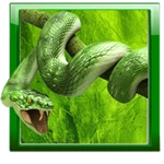 snake live wallpaper android application logo